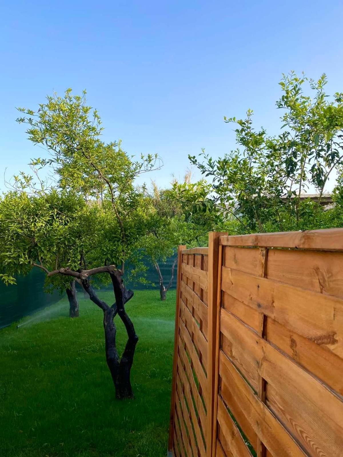 Manolis Cozy Home Chania  Zewnętrze zdjęcie